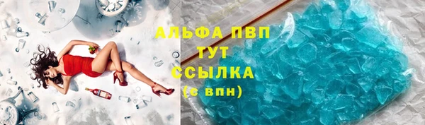 амф Новозыбков