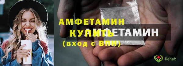 амф Новозыбков