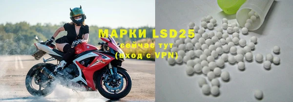 амф Новозыбков