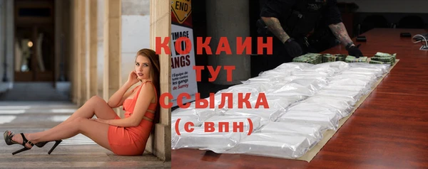 амф Новозыбков