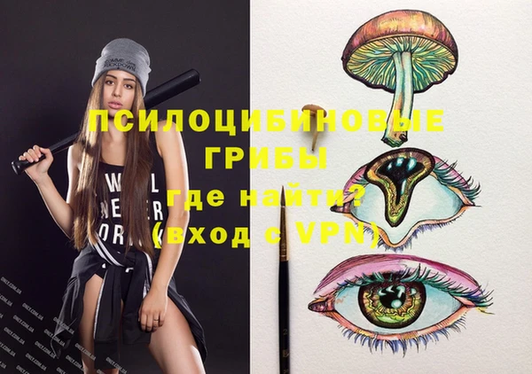 соль курить ск Новодвинск
