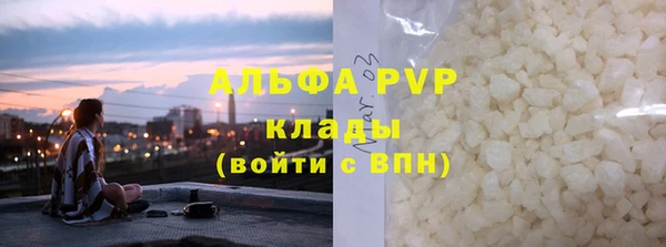 амф Новозыбков