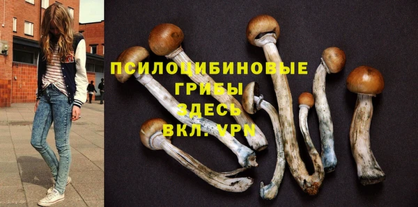 амф Новозыбков