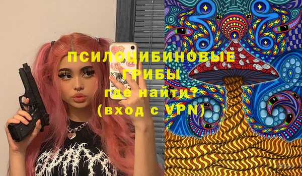 амф Новозыбков