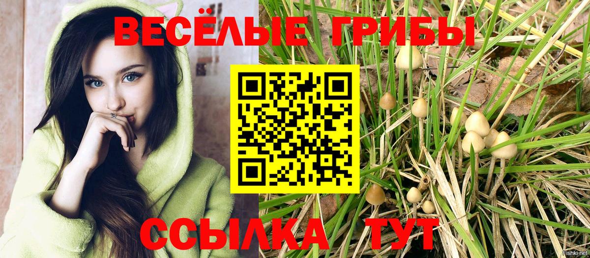 Родники  Галлюциногенные грибы Psilocybe  Вход с VPN 